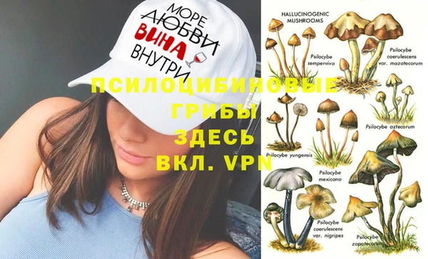 хмурый Кулебаки